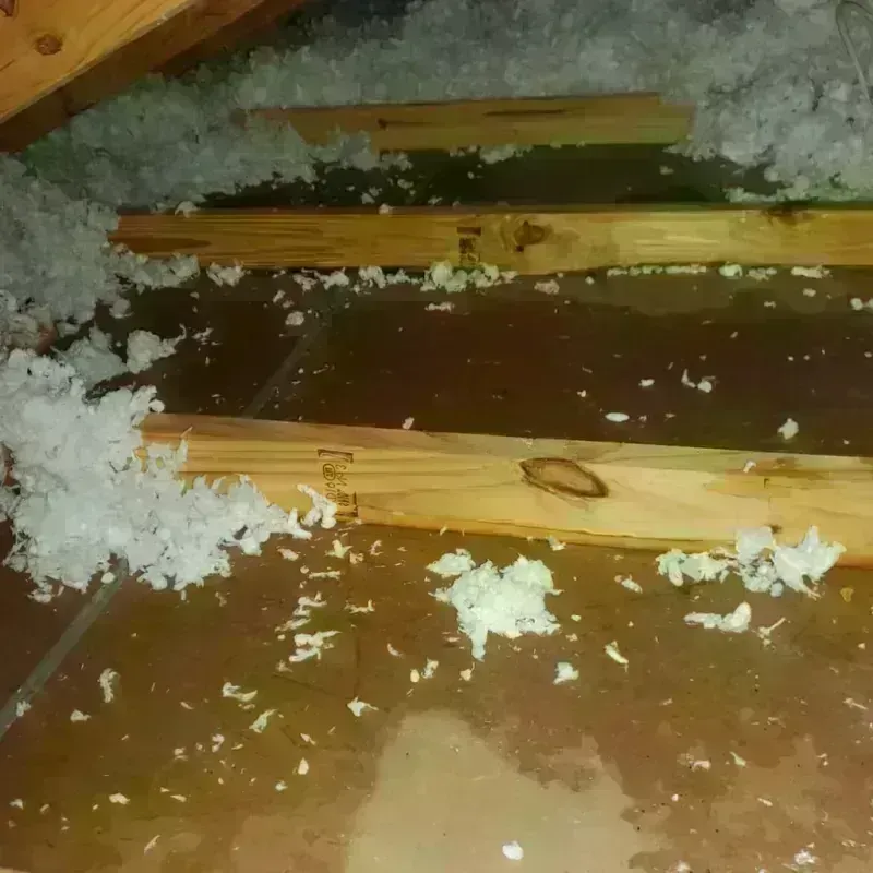 Attic Water Damage in Santurce, PR